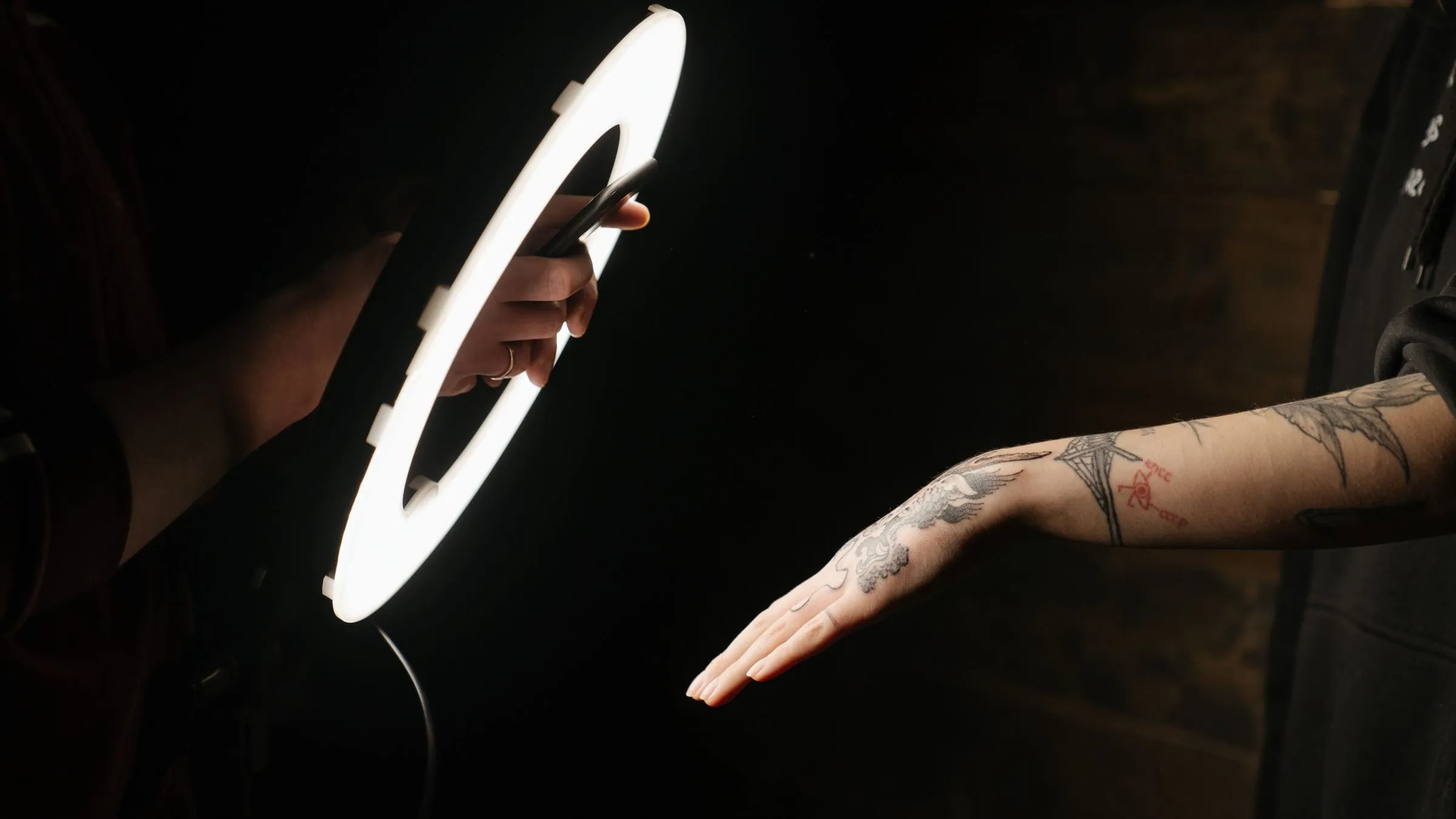 A forearm lit from one side against a dark ground, carrying a single-needle botanical piece.