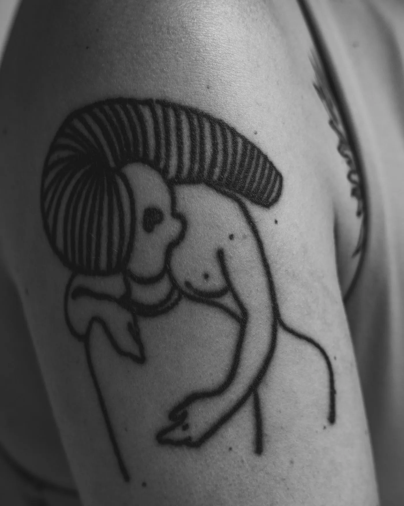 A comparable single-line piece photographed well after healing, the line even throughout.